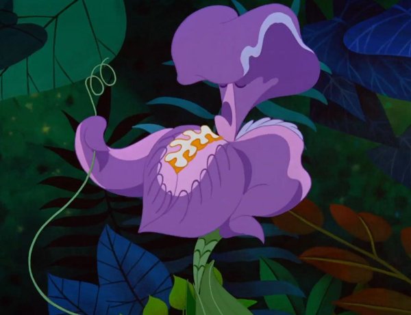 Алиса в стране чудес мультфильм 1951 цветы