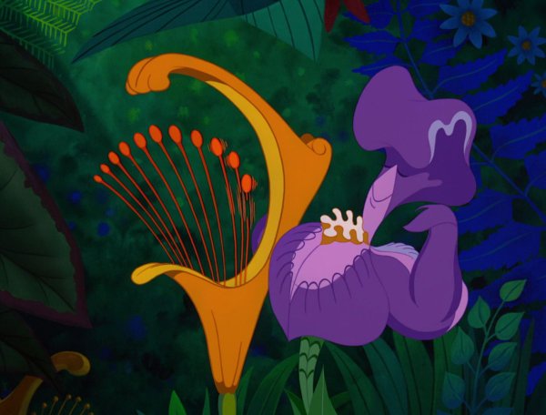 Цветы из фильма Алиса