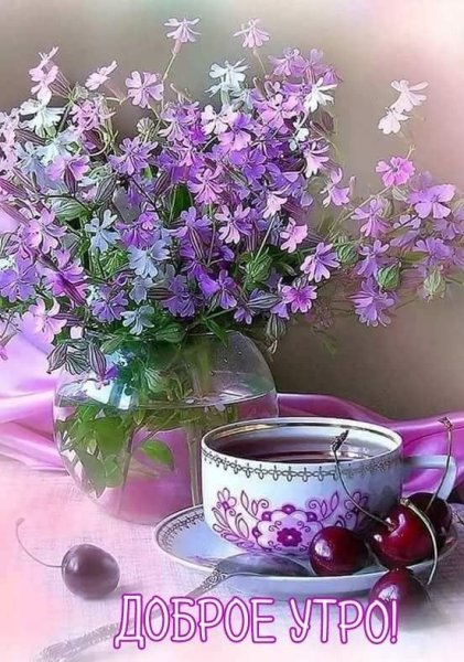 Доброе утро цветы