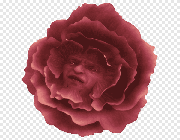 Алиса в стране чудес Дисней цветы