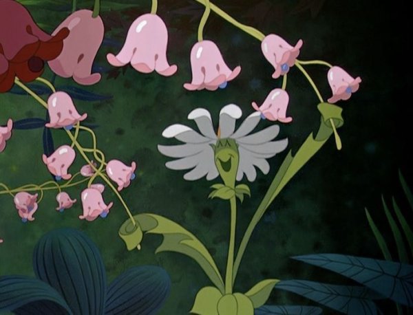 Алиса в стране чудес цветы