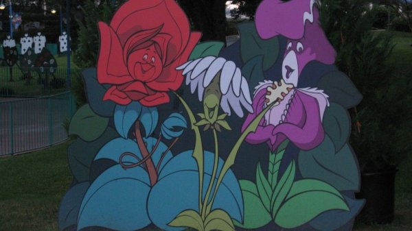 Роза Вандерленд