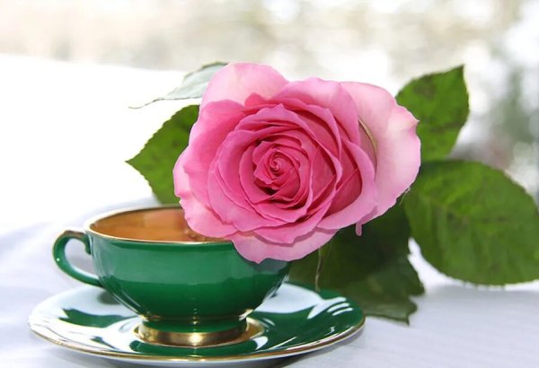 Открытки с добрым днём и хорошим настроением