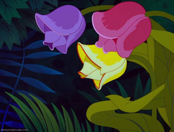 Говорящие цветы из Алисы в стране чудес