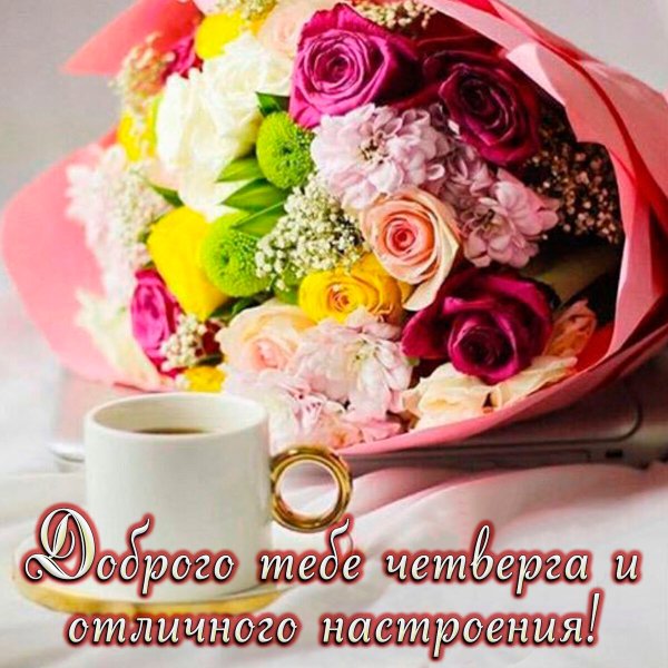 Доброе утро четверга