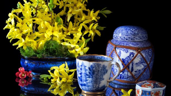 Обои для рабочего стола цветы и посуда