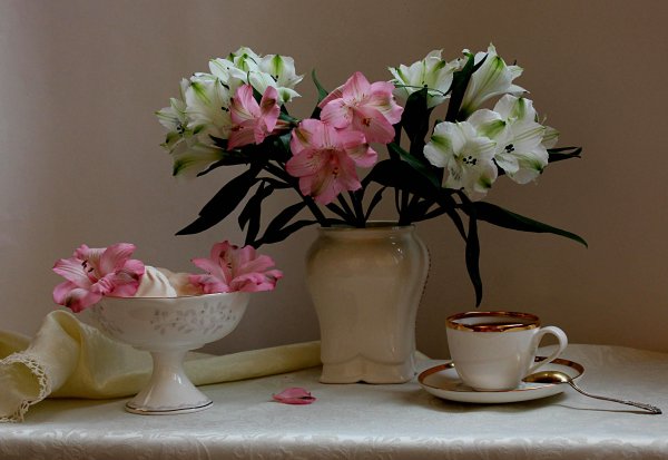 Натюрморты с цветами и кофе