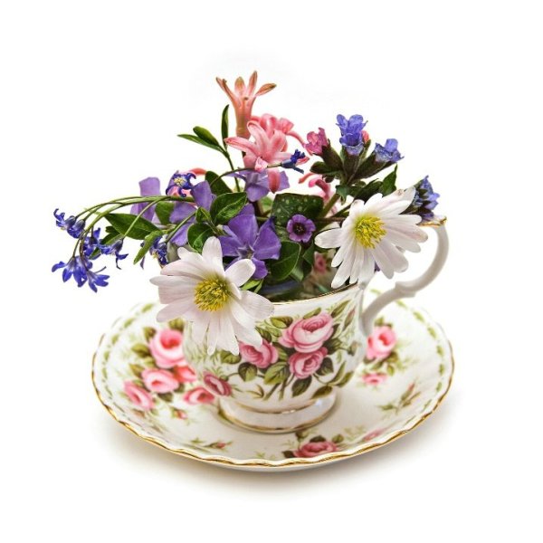 Цветы в чашке