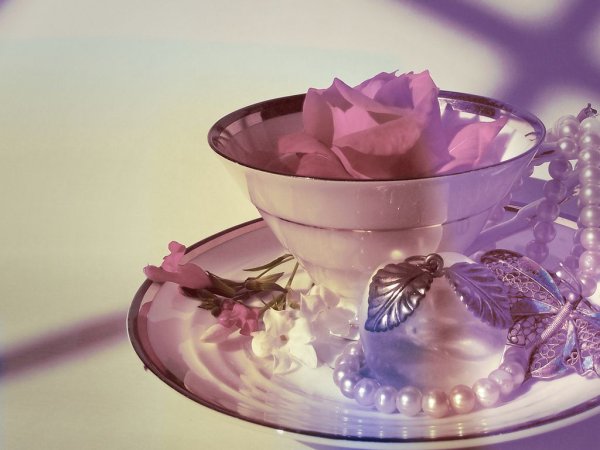 Чашечка мечты