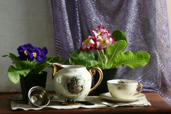 Натюрморт с посудой и цветами