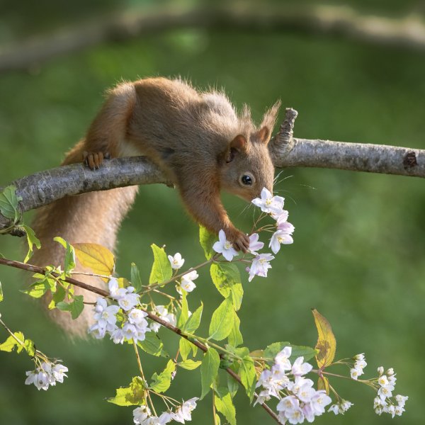 Природа и животные