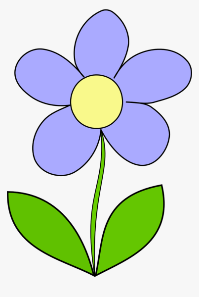 Цветочки для детей 4-5 лет