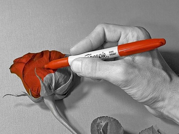 Рисунки карандашом с цветными элементами