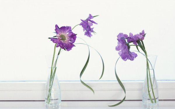 Цветы в вазе