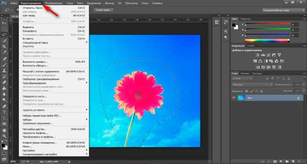 Опыт фотосинтез образование крахмала