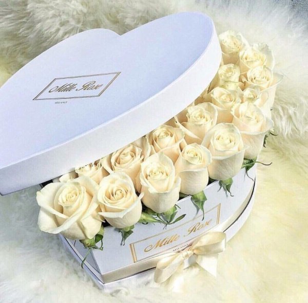 Открытки с днем рождения белые розы