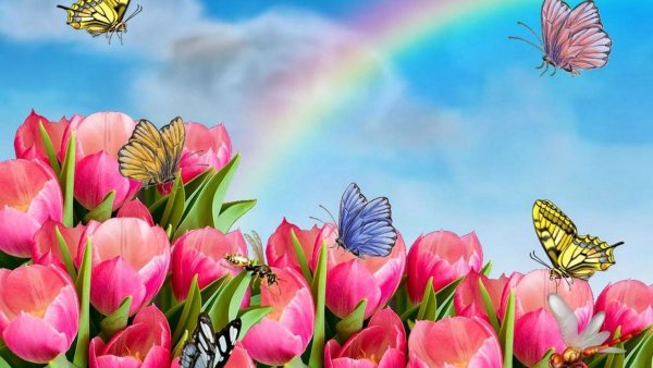 Добрый день Наталья