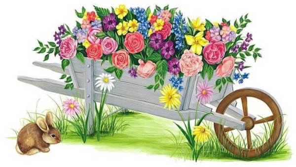 Клумба с цветами на прозрачном фоне