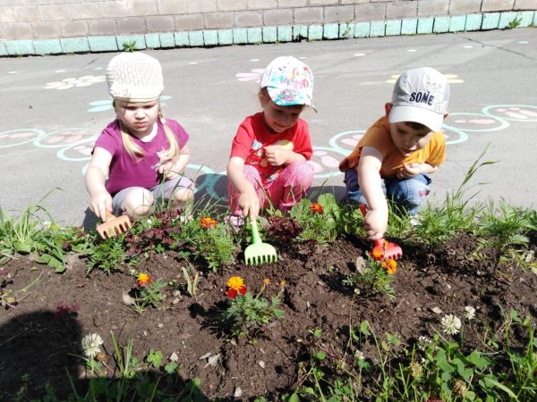 Труд в цветнике