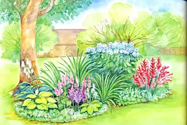 Клумба с ирисами и лилейниками и хостами схема