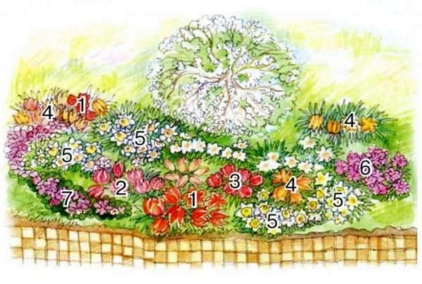 Нарисовать цветник