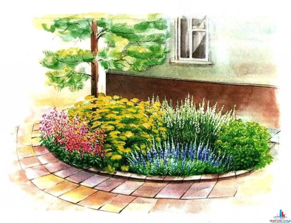 Клумба рисунок