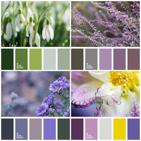 Цветовая гамма сочетание цветов