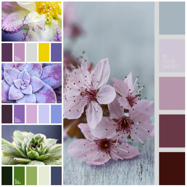 Цветовые сочетания