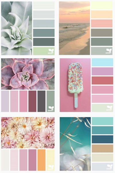 Сочетание цветовой гаммы