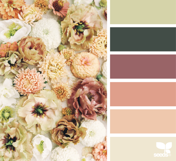 Цветовая палитра Color.romanuke