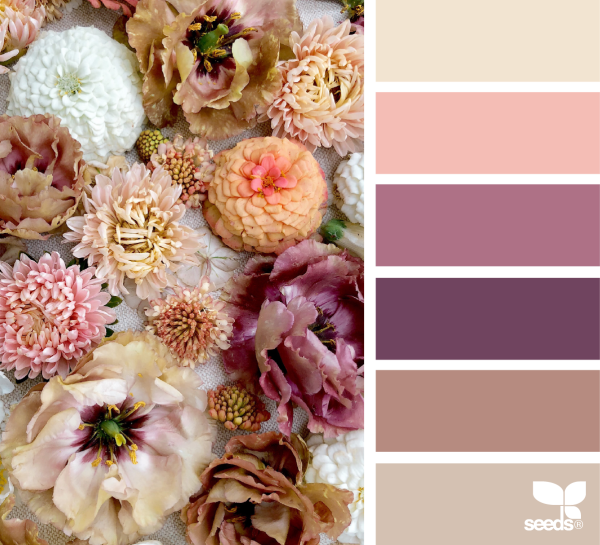 Цветовая палитра Color.romanuke