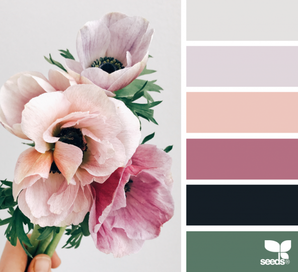 Цветовая палитра Color.romanuke