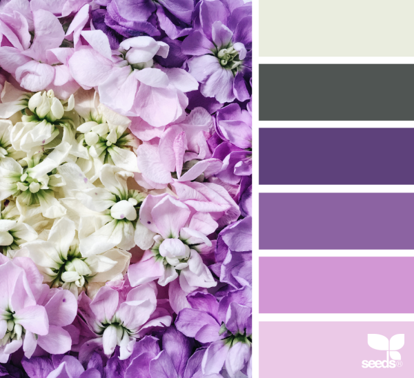 Трехцветковая палитра