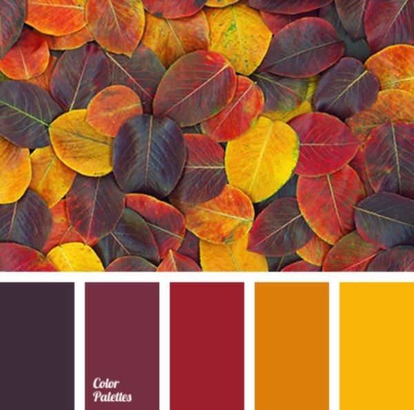 Круг Иттена и цветовые сочетания