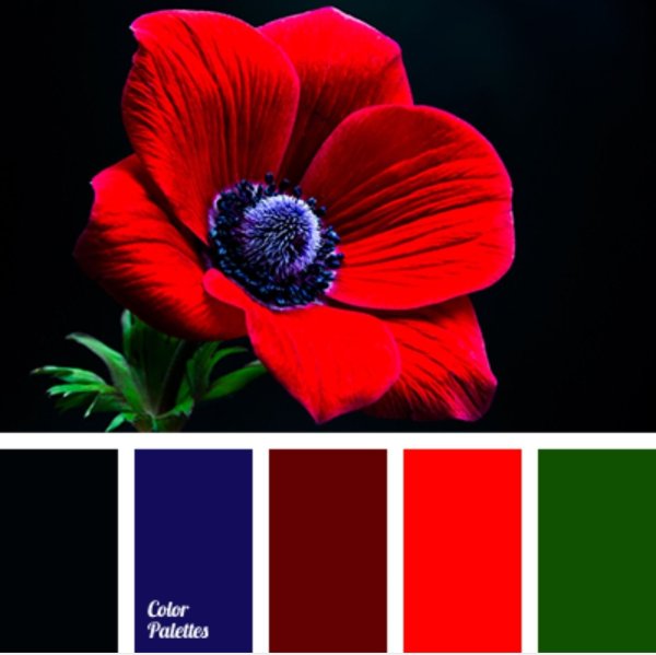 Цветовая палитра красных оттенков