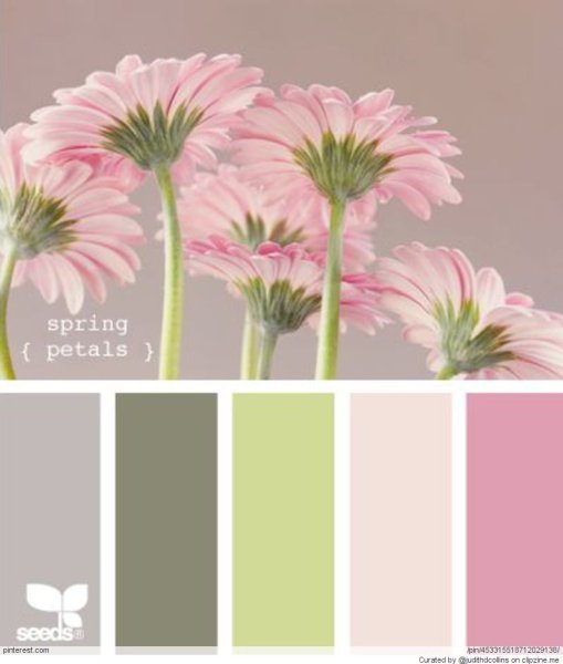 Цветовая палитра во флористике