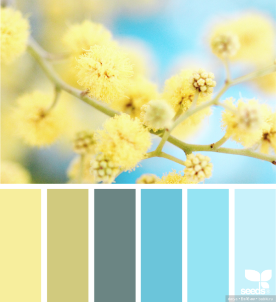 Seeds палитра бирюзовый