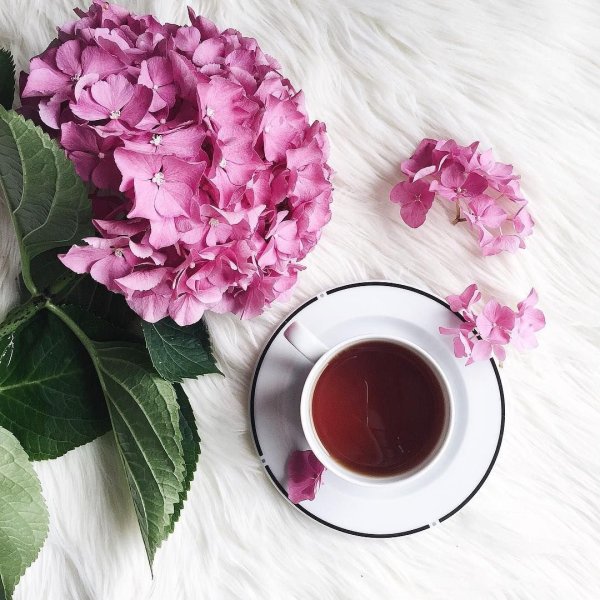 Чай цветок