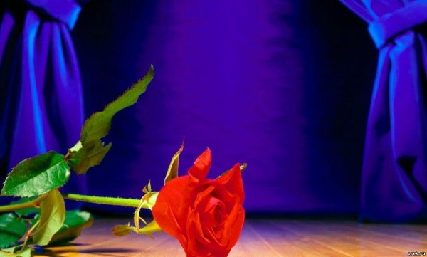 С днем работкник акультуры