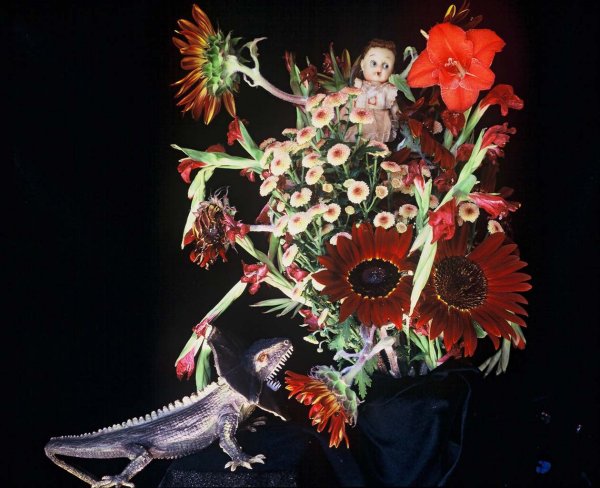 Нобуеси Араки цветы