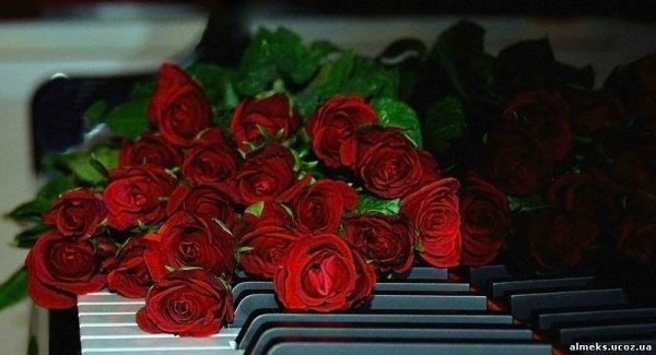 Музыкальный букет цветов