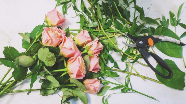 Украшение зала на концерт