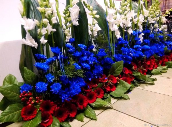 Цветы для оформления сцены