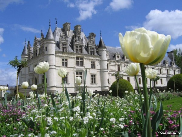 Замок весной