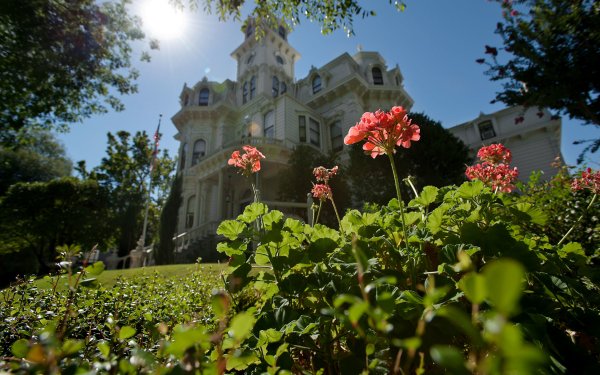 Старинный замок в цветах