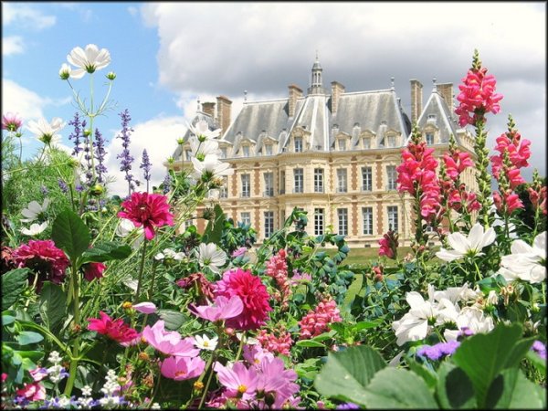 Цветы Франции