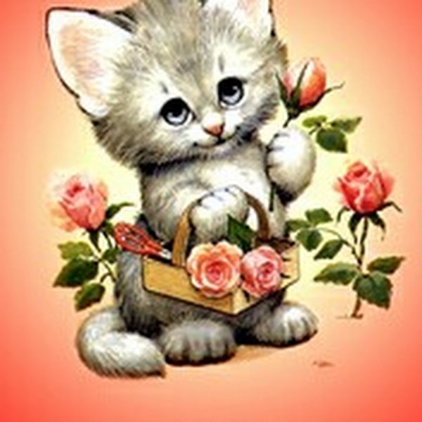 Котик и лилии