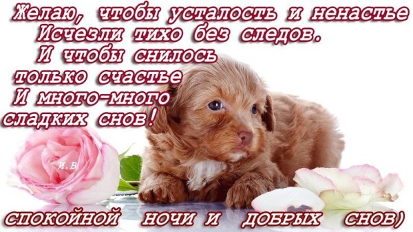 Спокойной ночи сестренка