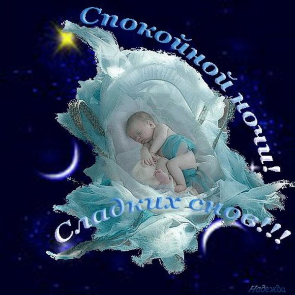 Спокойной ночи друзья