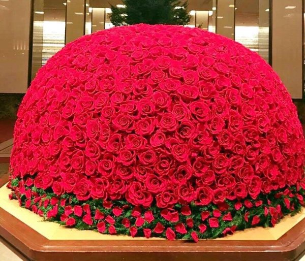 Самый большой букет цветов